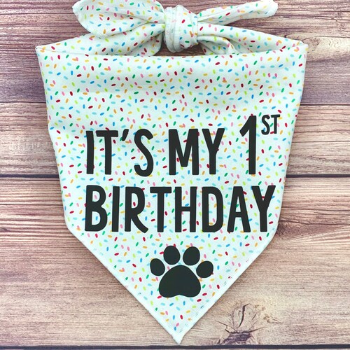 Dog Birthday Bandana Etsy
