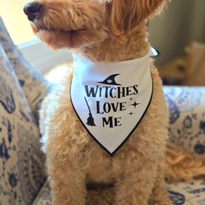 Witches Love Me Tie-On Dog Bandana | Halloween dog bandana | funny halloween bandana | spooky dog bandana | funny bandana | trick or treat image 2