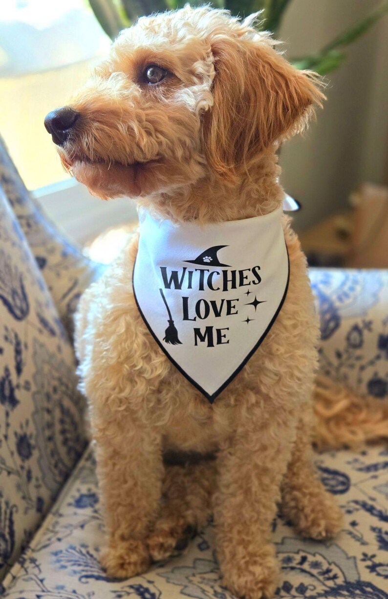 Witches Love Me Tie-On Dog Bandana | Halloween dog bandana | funny halloween bandana | spooky dog bandana | funny bandana | trick or treat image 2