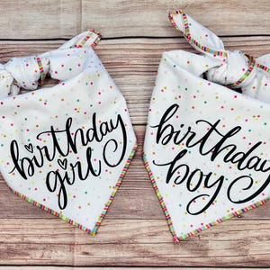 Birthday Boy/Girl Rainbow Confetti Squares Tie-On Dog Bandana | dog 1st birthday | dog birthday | birthday boy dog | birthday girl dog