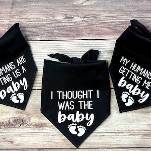 It's Twins Baby Announcement Dog Bandana (Black Scrunch, OS 731