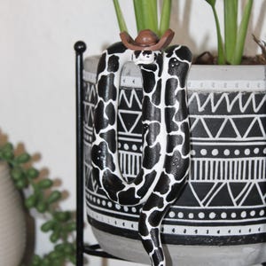 Cowboy snake plant pal pose 3