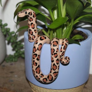 Puede incluir: Una figurita de serpiente de cerámica con un estampado de leopardo está envuelta alrededor de una maceta azul claro. La maceta tiene un borde marrón claro.