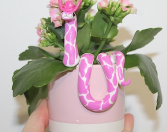XS miniature pink cowboy snake plant pal