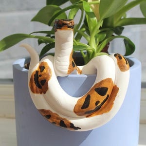 Halloween pumpkin pieball python snake inspired plant pal