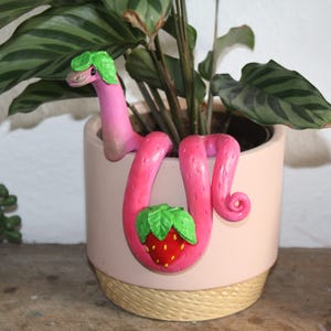 Strawberry snake fruit plant pal