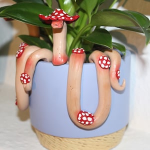 Mushroom snake plant pal