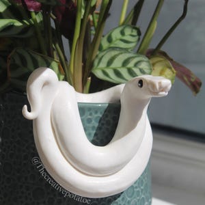Große weiße Ball Python Schlange inspirierter Pflanzenfreund