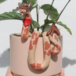 Cowboy snake in ma boot plant pal