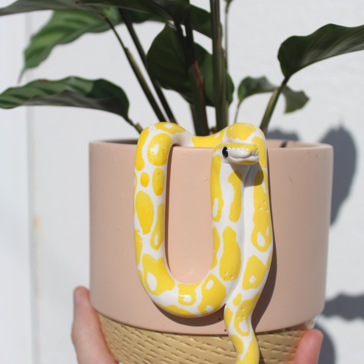 Yellow Morphe Snake Plant Pal Pose 3 - Etsy