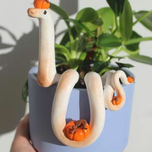 May include: A white and light orange snake figurine with a smooth texture, featuring small orange pumpkins attached to its head and body. The snake is coiled around the rim of a solid light blue plant pot containing a green leafy plant.