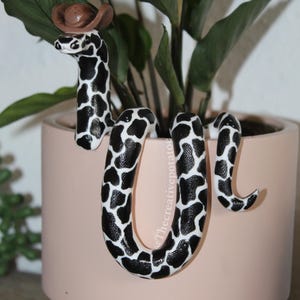 Cowboy snake plant pal