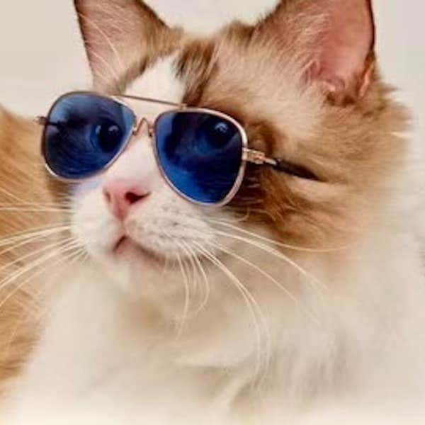 New! Small Dog/Cat Aviator Sunglasses