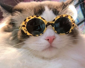 New! Small Dog/Cat Leopard Sunglasses