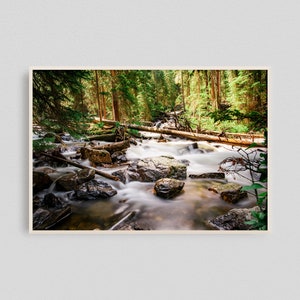 River In The Woods, Colorado Photography, River Wall Art Print, River And Trees, River Photo, River Wall Decor, Green Summer Wall Decor