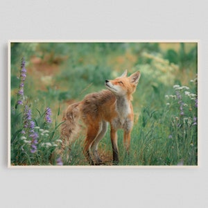 Fox print, Woodland animal prints, Vintage Fox Art Print, Animal Wall Art Room Decor, Fox Wall Art, Woodland Fox Print, Vintage Animal Print