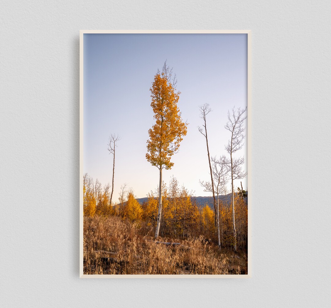Yellow Tree Wall Decor, Yellow Photography, Yellow Tree, Yellow Autumn ...