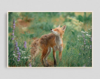 Fox Art Print, Fox Photo, Animal Art Print, Wildlife Art, Woodland Animal, Bedroom Artwork, Animal Photo, Wildlife Photo, Cute Animal Photo