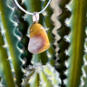 Petrified Wood Necklace / Wood Pendant / Stone Necklace / Women Silver Necklace / Unique Pendant / Boho Jewelry