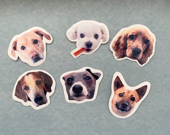 Custom Pet Stickers • Custom Dog Stickers • Pet Stickers • Cat Stickers • Bird Stickers • Water Resistant • Stickers