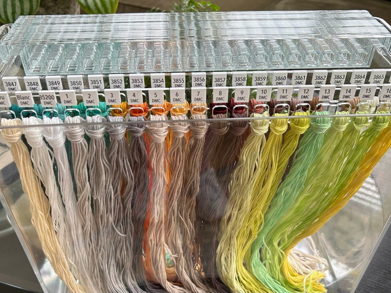 K&ouml;nnte beinhalten: Eine transparente Plastik-Aufbewahrungsbox mit 16 Spulen DMC-Stickgarn. Die Spulen sind mit den DMC-Nummern von 3847 bis 3865 beschriftet. Die Garnfarben reichen von Wei&szlig; bis Gr&uuml;n.
