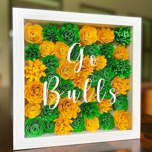Customizable College Shadow Box
