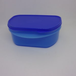 Puede incluir: Un recipiente de plástico azul para guardar alimentos con tapa a juego. El recipiente es rectangular con bordes redondeados y una banda azul claro en el medio. La tapa es de color azul oscuro.