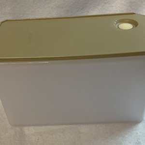 Pode incluir: Um recipiente de armazenamento de plástico branco com uma tampa bege. A tampa tem uma pequena pega redonda bege no topo.