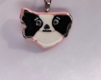 Pappy, the pensive Papillon.