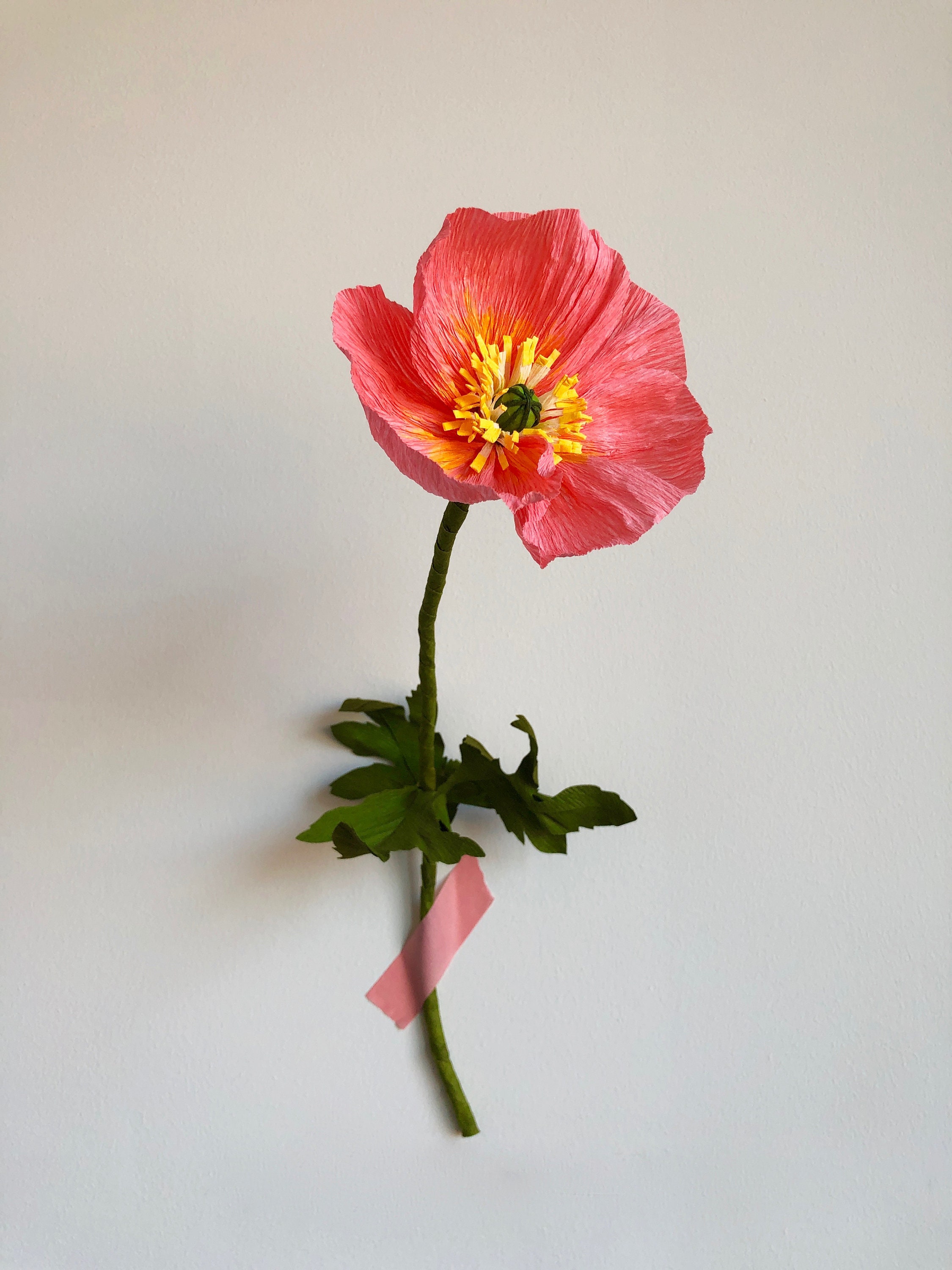 Floral & Garden Crafts Floral Arranging Firecracker Penstemon Wildflower Double stem crepe paper