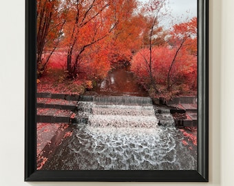 Fotografie druckt natur, baum drucke wandkunst, landschaft fotografie drucke, gerahmte kunstdrucke, baum druck, fotografie drucke sammlung