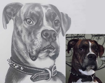 Hand Drawn Pencil Dog Portrait, Cat Portrait Drawing From Photo, Pet Portrait from Photo, Custom Pencil Hand Drawn Family Portrait