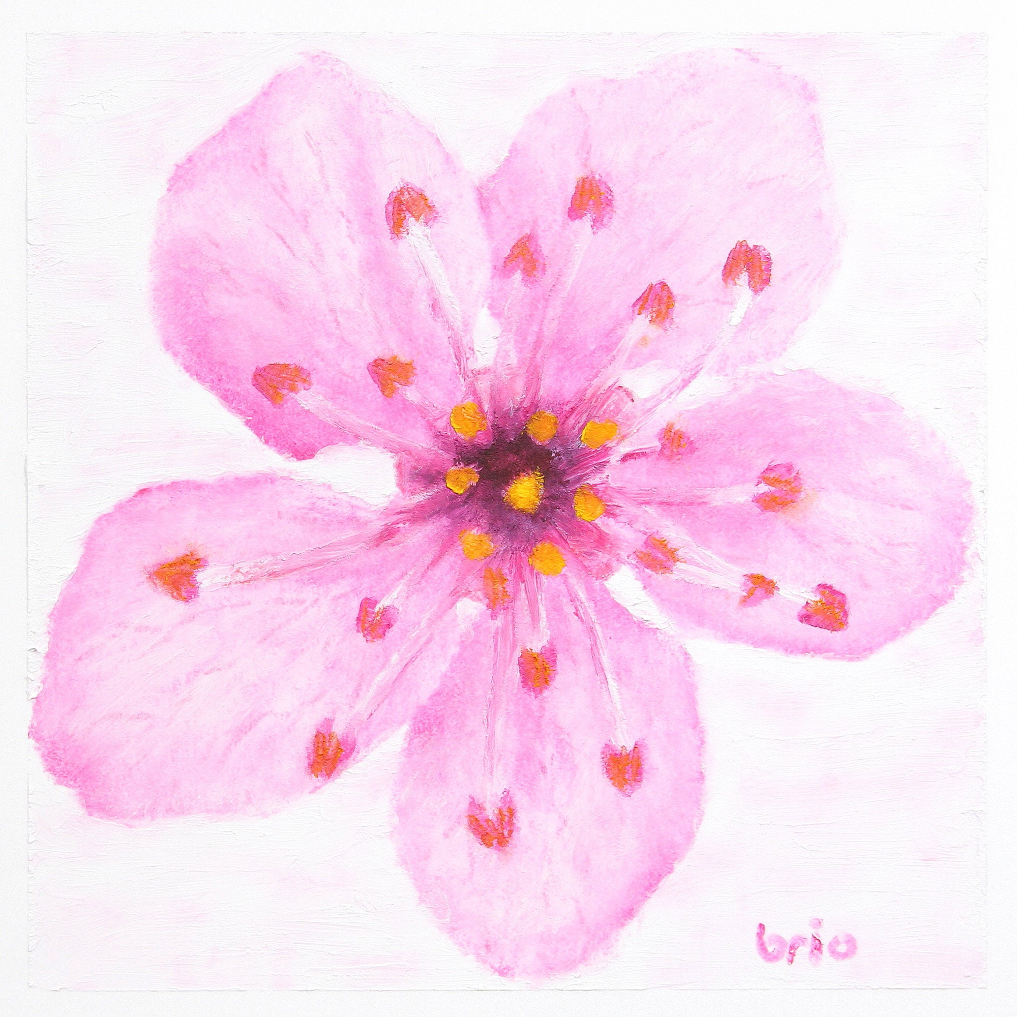 Pink Cherry Blossom Flower Drawing Done With Makeup 