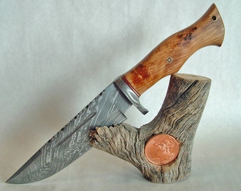 Handmade Damascus Steel Clip Point Knife: Olive Wood Handle, Leather Sheath