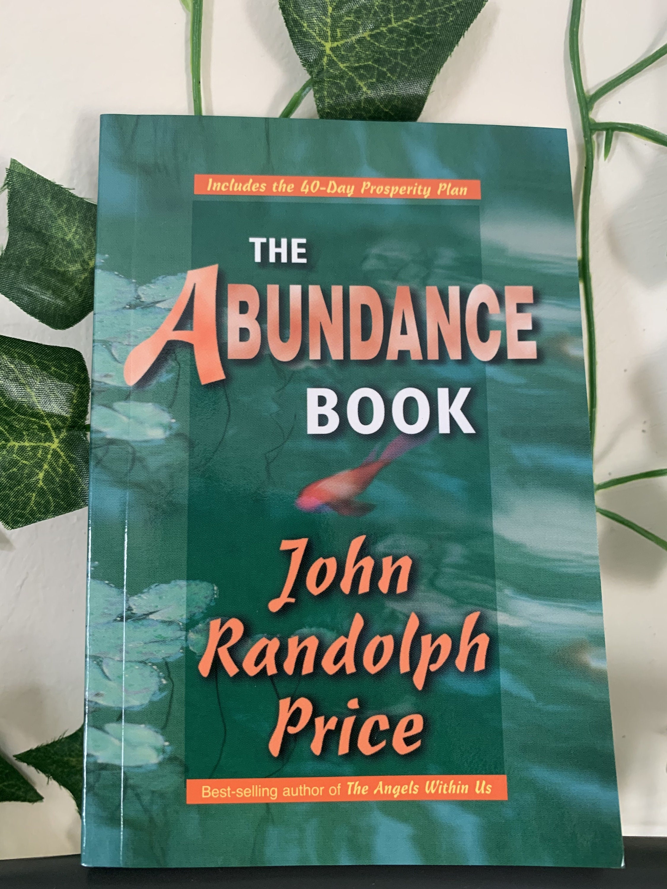 The Abundance Book by John Randolph Price | Etsy