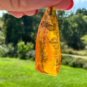 May include: A teardrop-shaped piece of amber with inclusions of insects. The amber is a warm, honey colour and is translucent.
