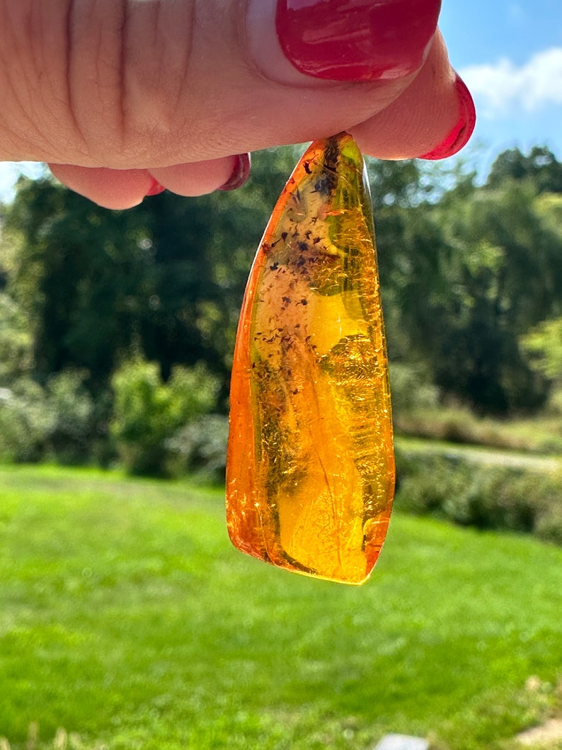 May include: A teardrop-shaped piece of amber with inclusions of insects. The amber is a warm, honey colour and is translucent.