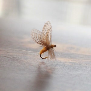 Wally Wing Mayfly DUN dry fly