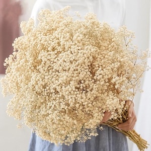 60g Dried Baby’s Breath Bouquet – Natural Gypsophila Flowers for Wedding, Valentine’s Day, Christmas & Home Table Decor