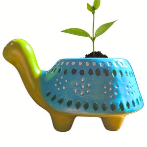 Adorable Hand Painted Turtle Planter, Perfect for Succulents, small turtle pot, turtle gift, indoor ceramic planter with drain hole