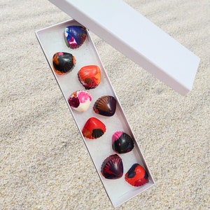 May include: A white box with a lid open, revealing a row of colorful, hand-painted seashell-shaped chocolates. The chocolates are arranged in a white box with a white background.
