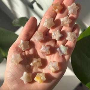 Op de afbeelding: Een hand die een verzameling stervormige edelstenen vasthoudt. De stenen zijn in tinten crème, perzik en geel, met unieke patronen. De edelstenen zijn een decoratief item. De stenen zijn gepolijst.