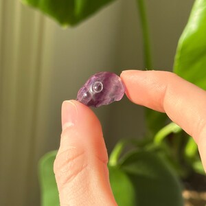 May include: A small, carved amethyst skull, held between fingers. The skull is a translucent purple color with a smooth, polished surface. The eye sockets are visible. The background features green foliage.