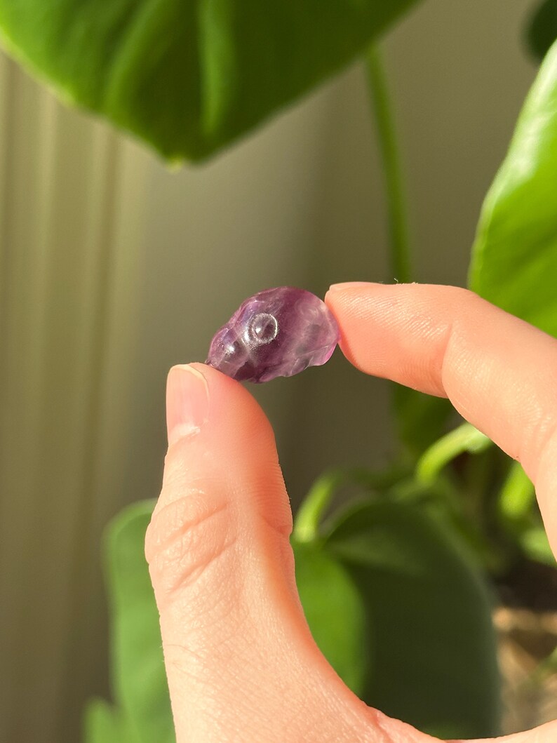 May include: A small, carved amethyst skull, held between fingers. The skull is a translucent purple color with a smooth, polished surface. The eye sockets are visible. The background features green foliage.