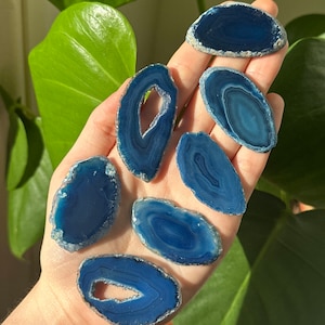 May include: Several polished blue agate slices with white and grey edges. The translucent stones vary in shape and size, some with central openings. The natural gemstone slices are displayed against a backdrop of green foliage.