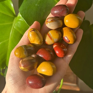May include: A selection of polished stones in shades of red, yellow, and cream are held in an open hand. The stones have a smooth, rounded shape and a natural, earthy appearance. A large, green leaf is in the background.