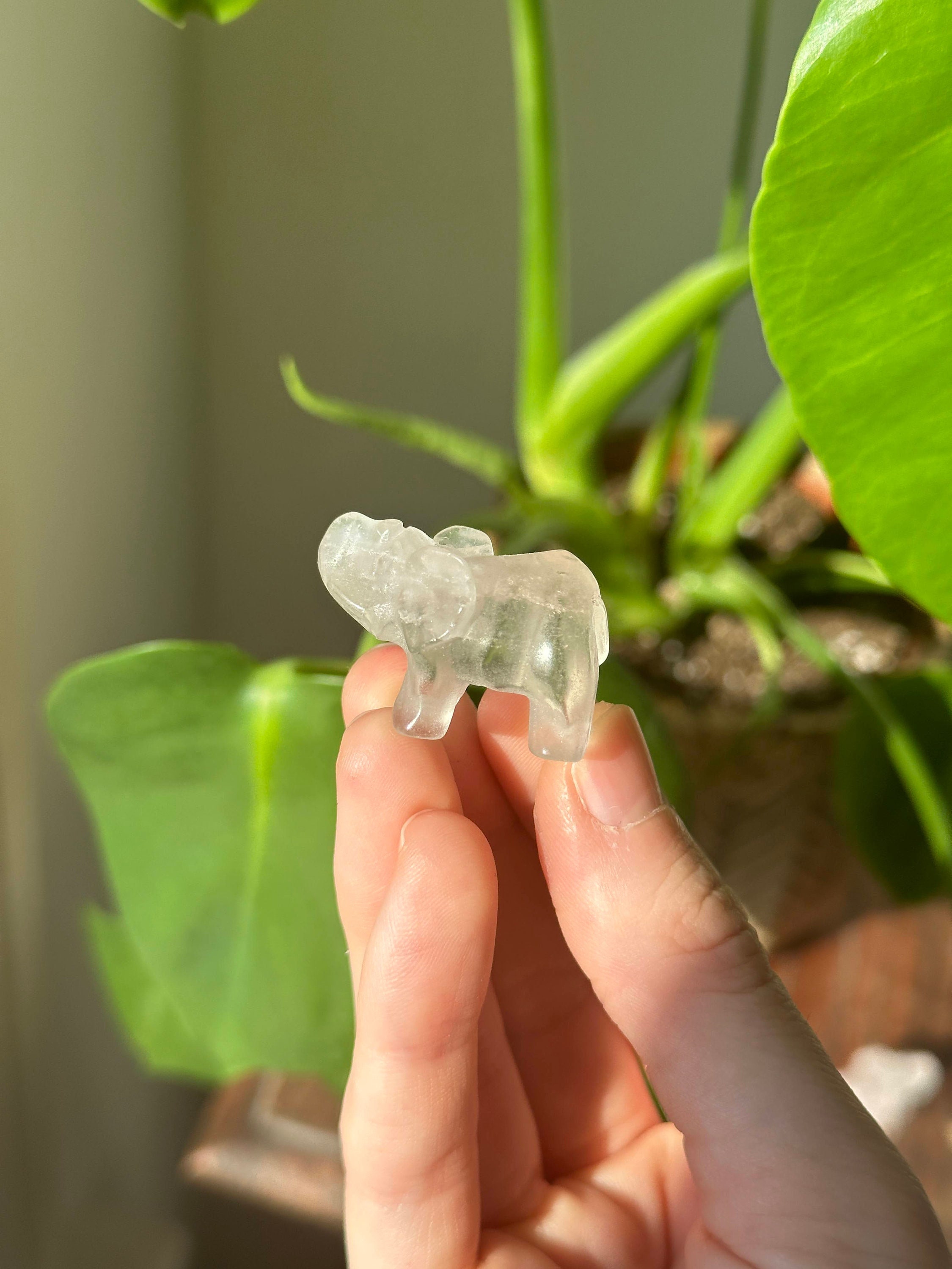 クリアクォーツの象の彫刻 | クリスタルアニマルトーテム | 透明