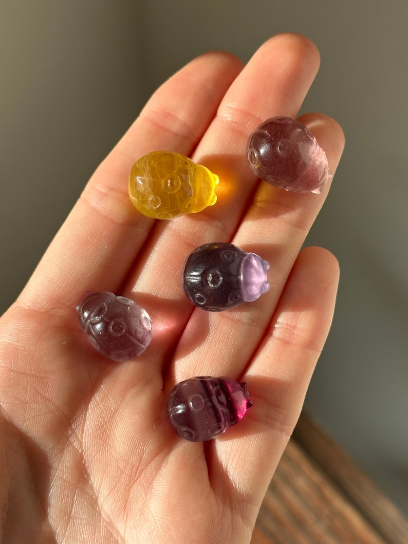 May include: A hand holds six small, carved ladybug figurines. The ladybugs are various colors, including yellow, purple, and dark red. Each has a detailed design, with circular patterns on their backs.