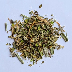 Herbal Blend Focus Back to School Week Focus Work from Home Decaf Herbal Blend Peppermint Lemongrass Moringa Sage Give Calm Energy Tea
