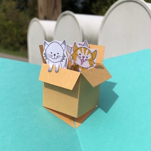 Kit de cartão pop-up Caixa de Gatinhos